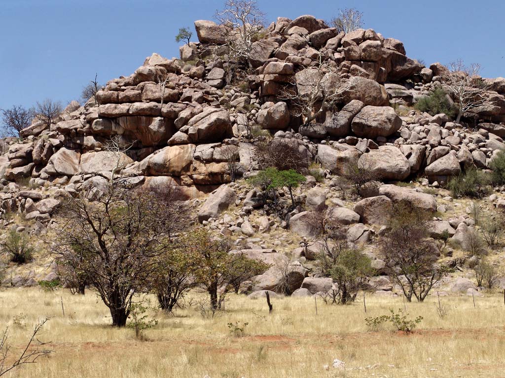 Rhino Camp-Ongava