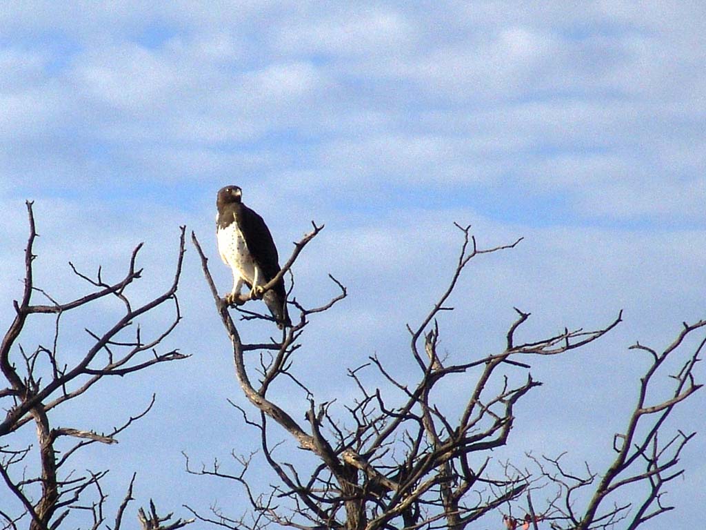 Etosha National Park