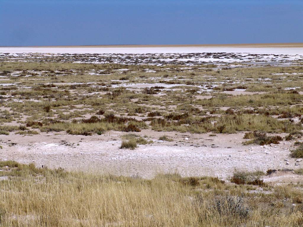 Etosha National Park