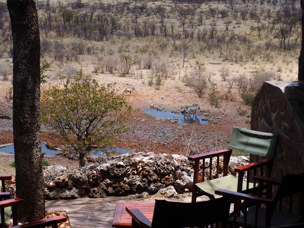 Ongava Safari Lodge