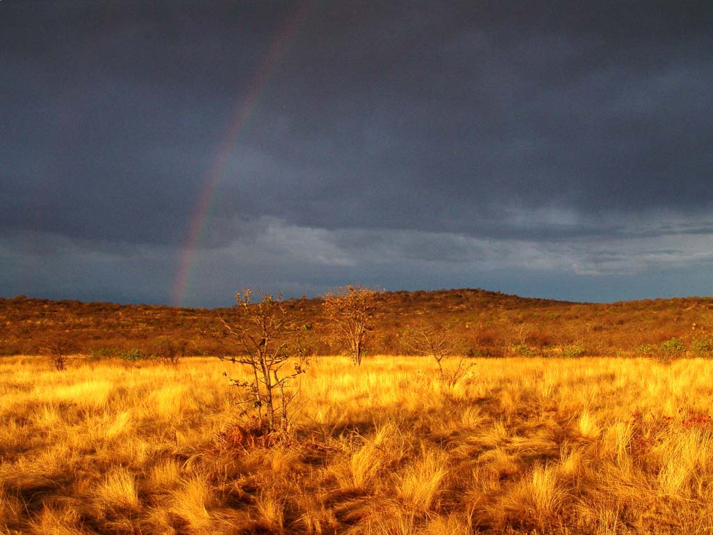 Ongava Game Reserve