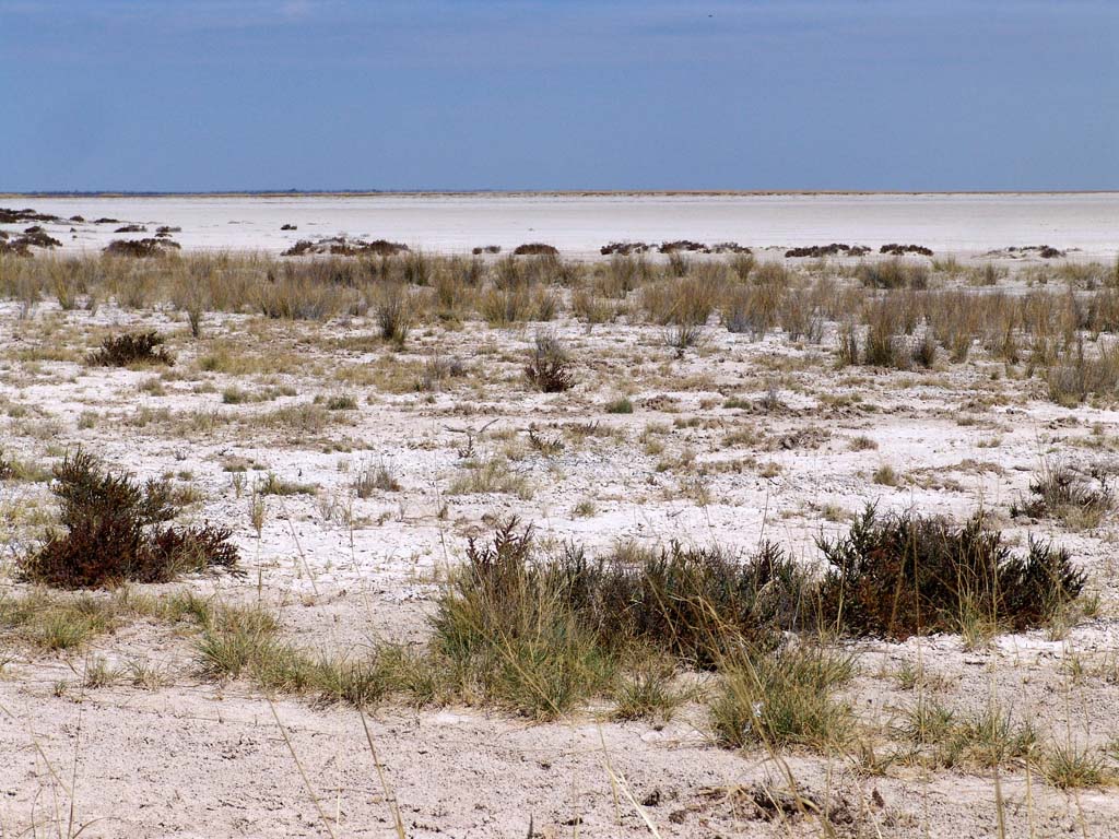 Etosha National Park