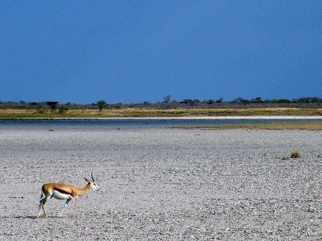 Etosha National Park