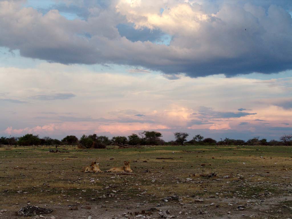 Etosha National Park