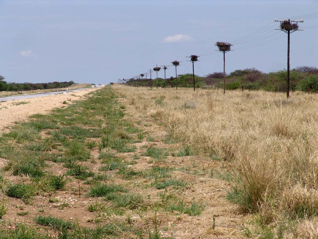 Mushara-Okonjima