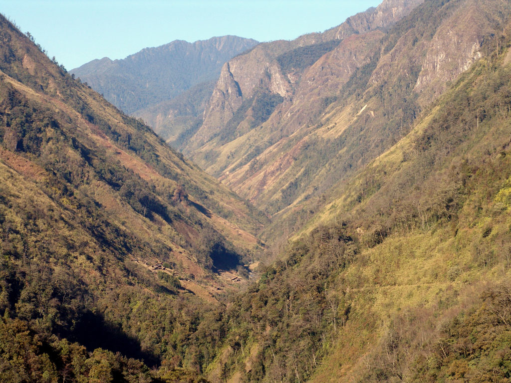 Kangkung-Salitu