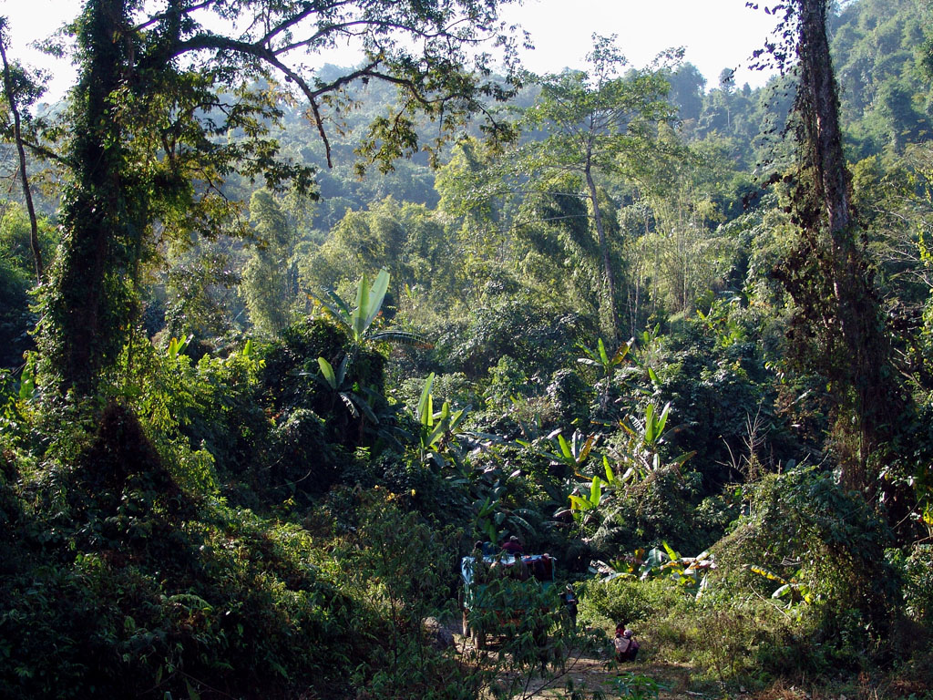 Alanga-Machanbaw