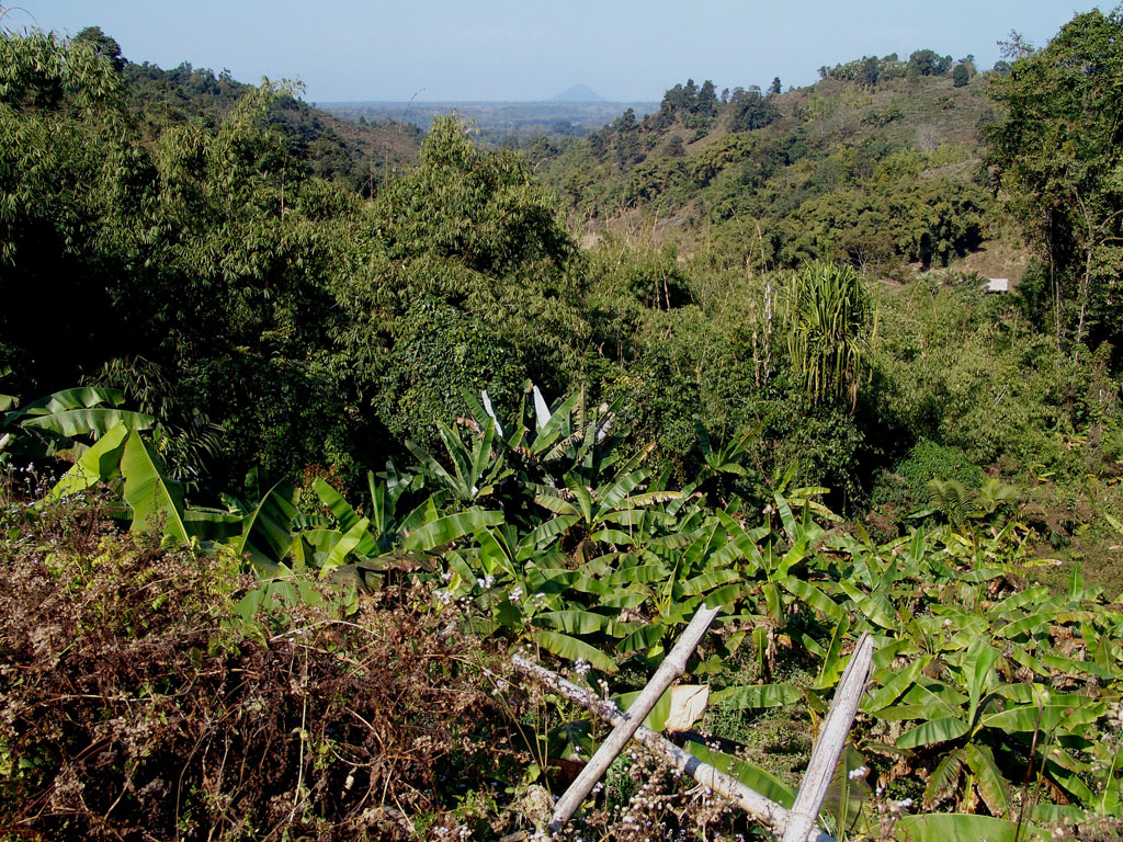 Alanga-Machanbaw