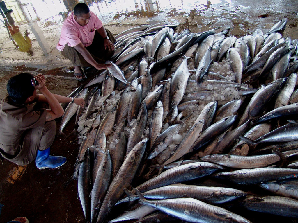 Yangon, Htin Pon Seik