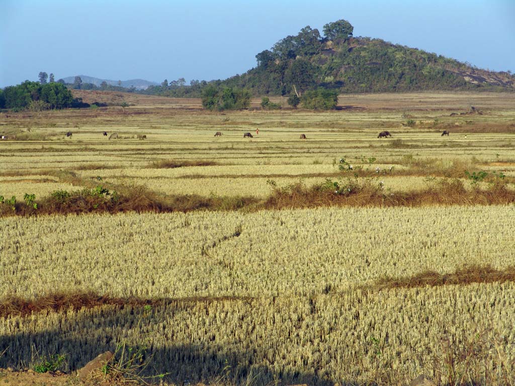 Road to Jaypur