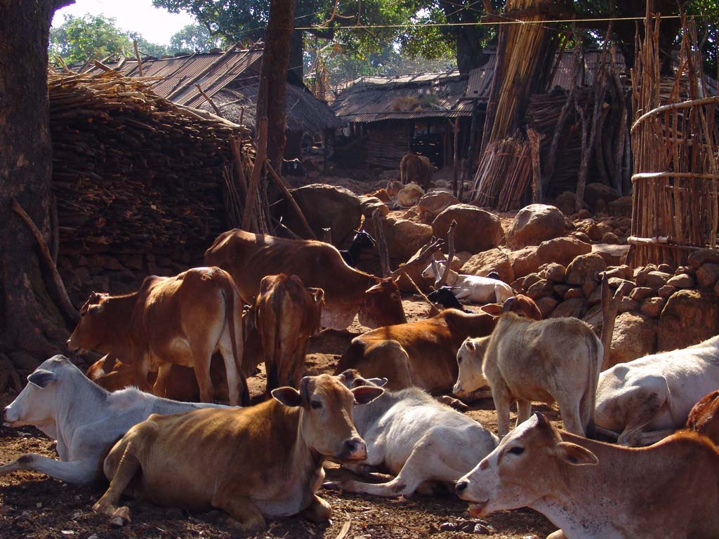 Mudulipara (Bondo)