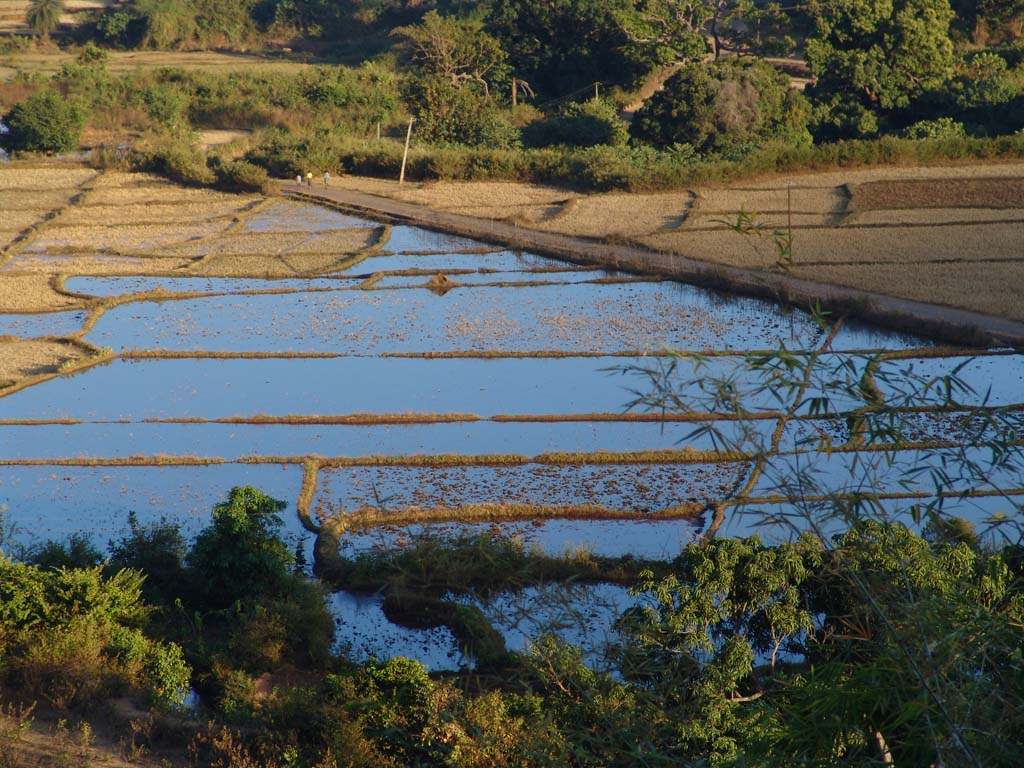 Raiagada Region