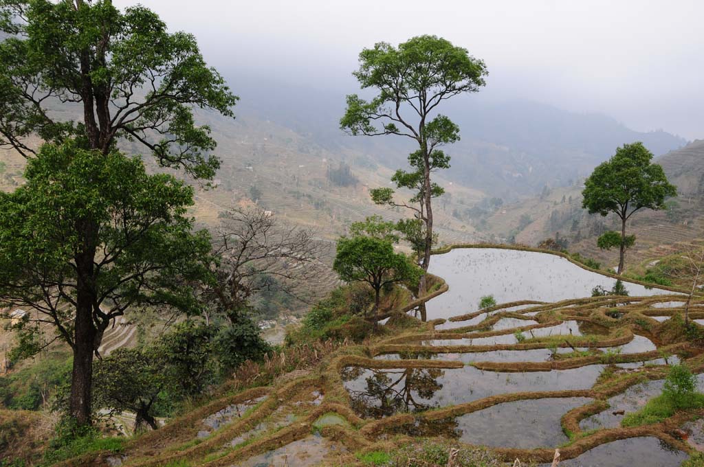 Adebo region