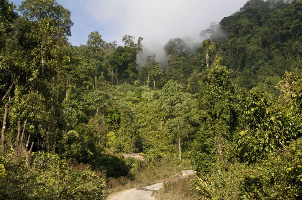 Pasighat-Along