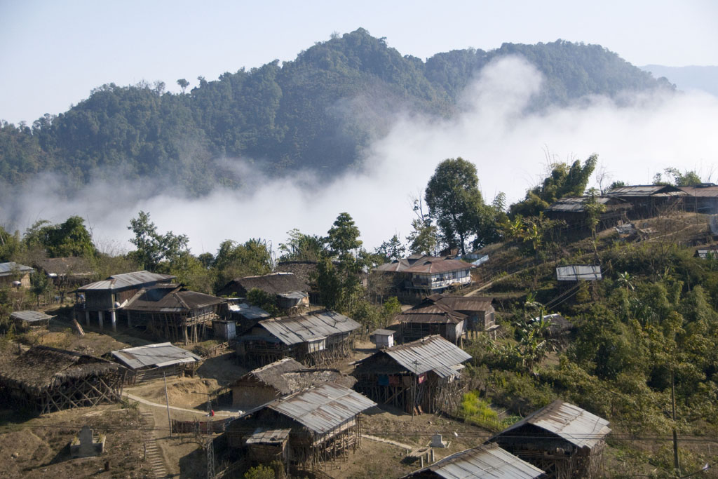 Muri Mugli (Hill's Miri)