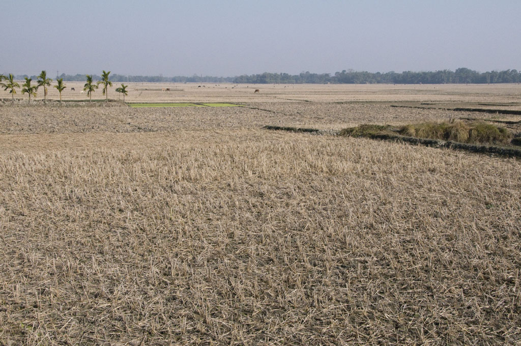 Assam