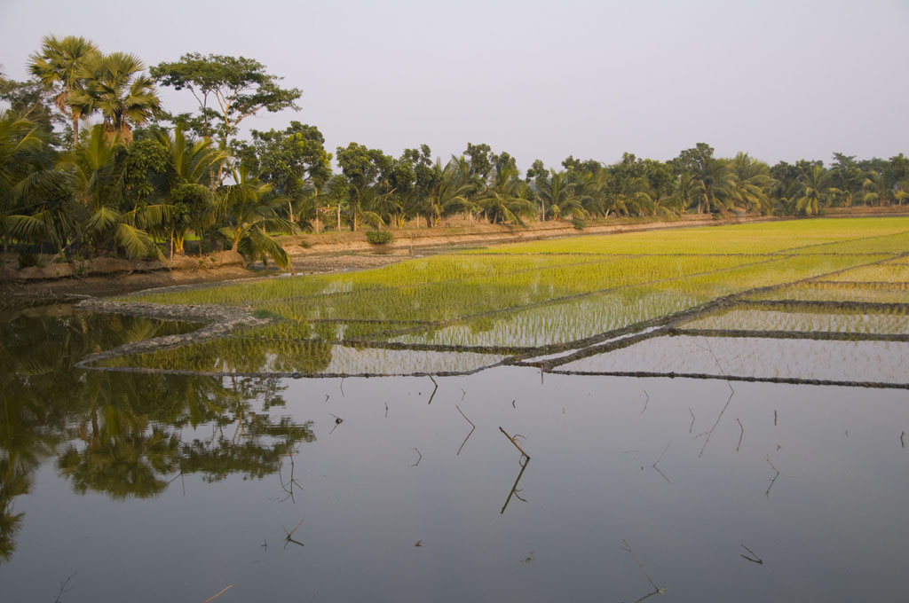Bagerhat-Mongla