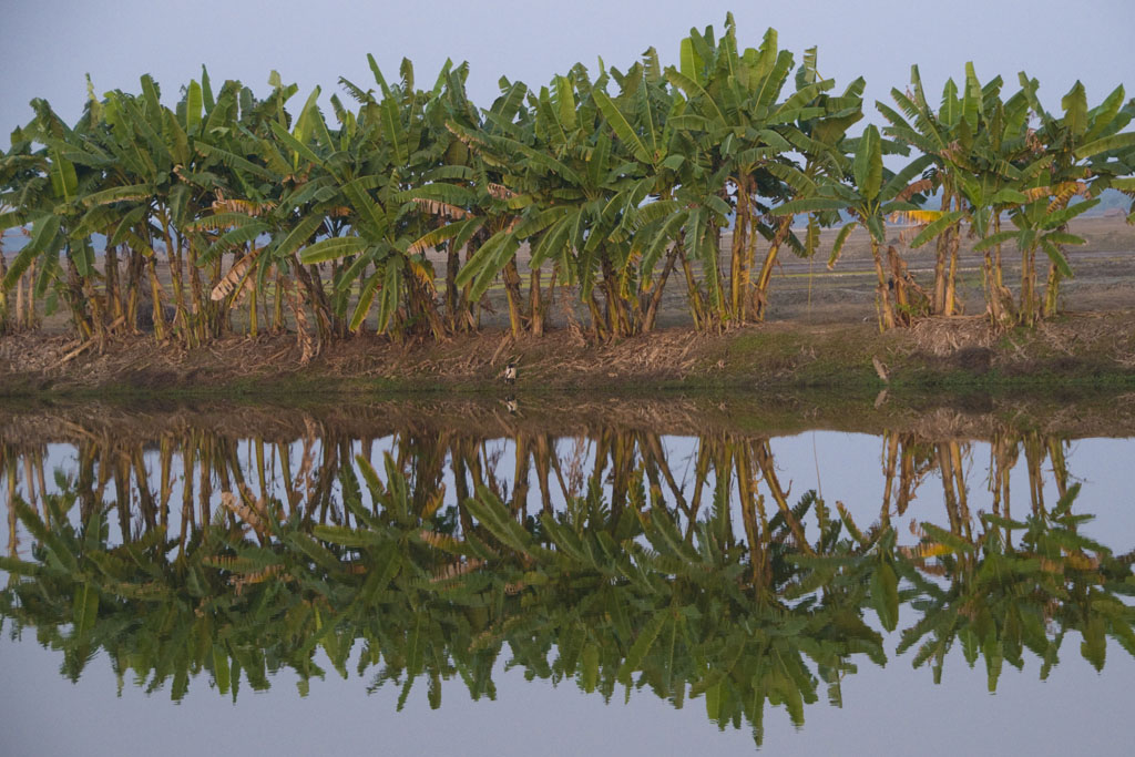 Bagerhat-Mongla
