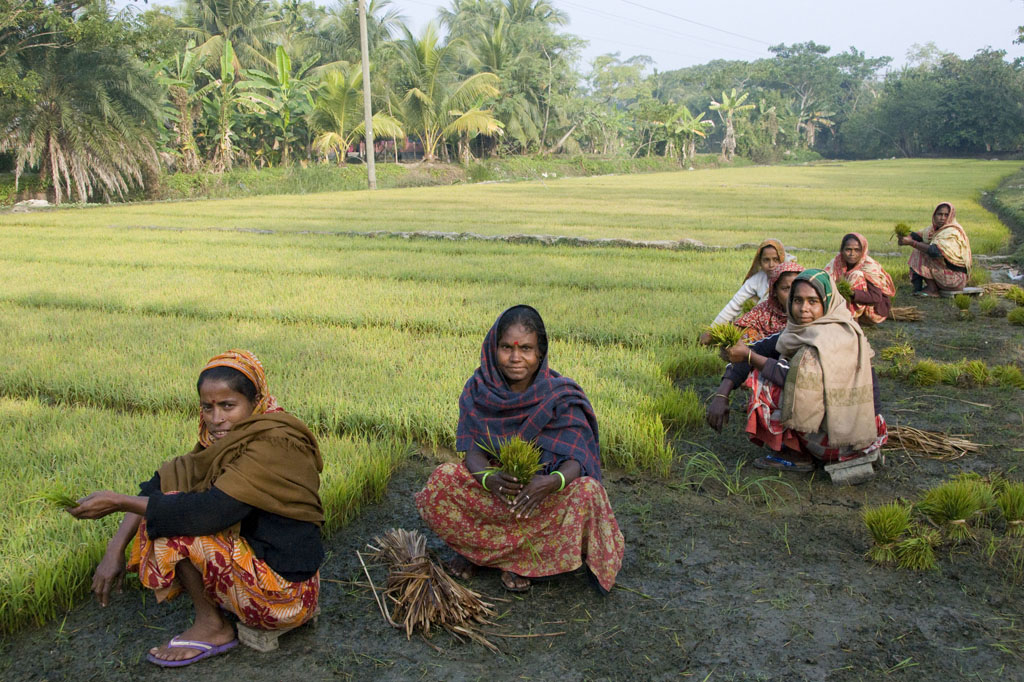 Mongla-Bagerhat