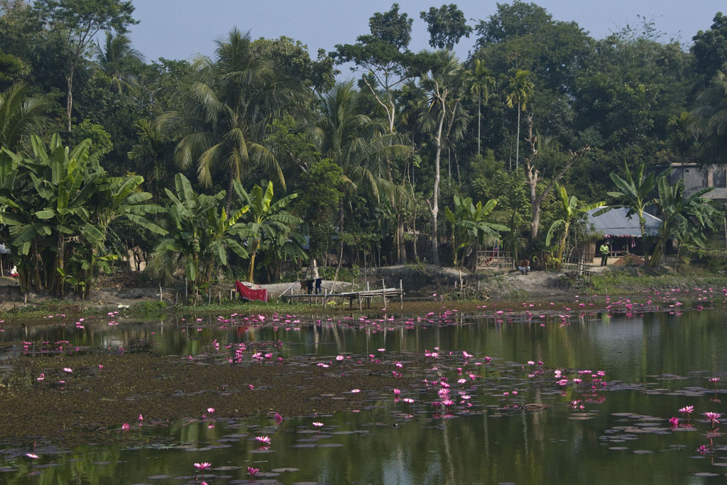 Bagerhat