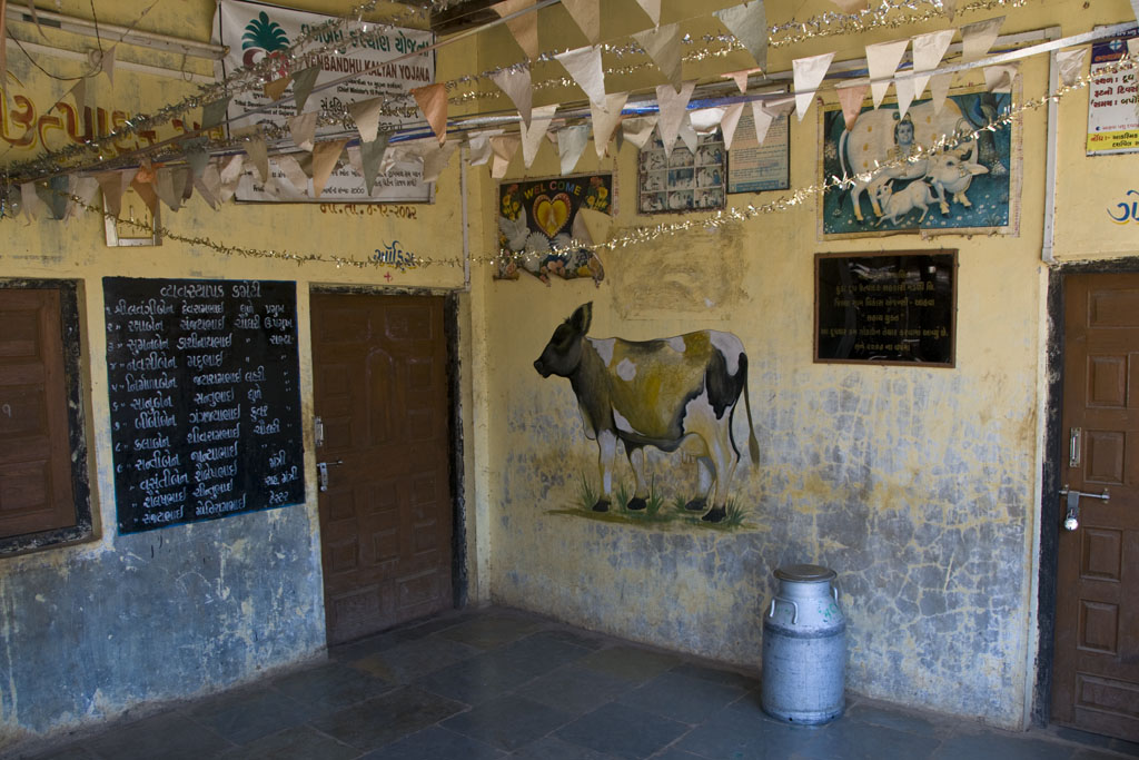 Ambbapada, Dairy