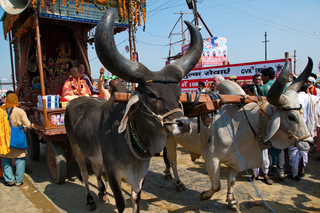 Guru (Kumbh Mela)