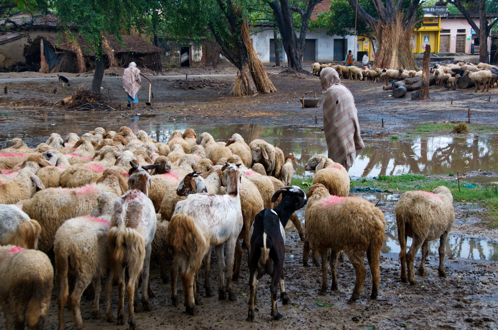 Allahabad-Varanasi