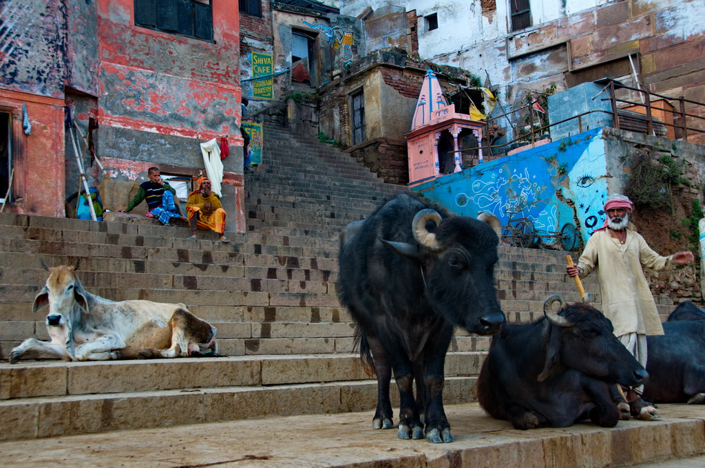 Varanasi (Benares)