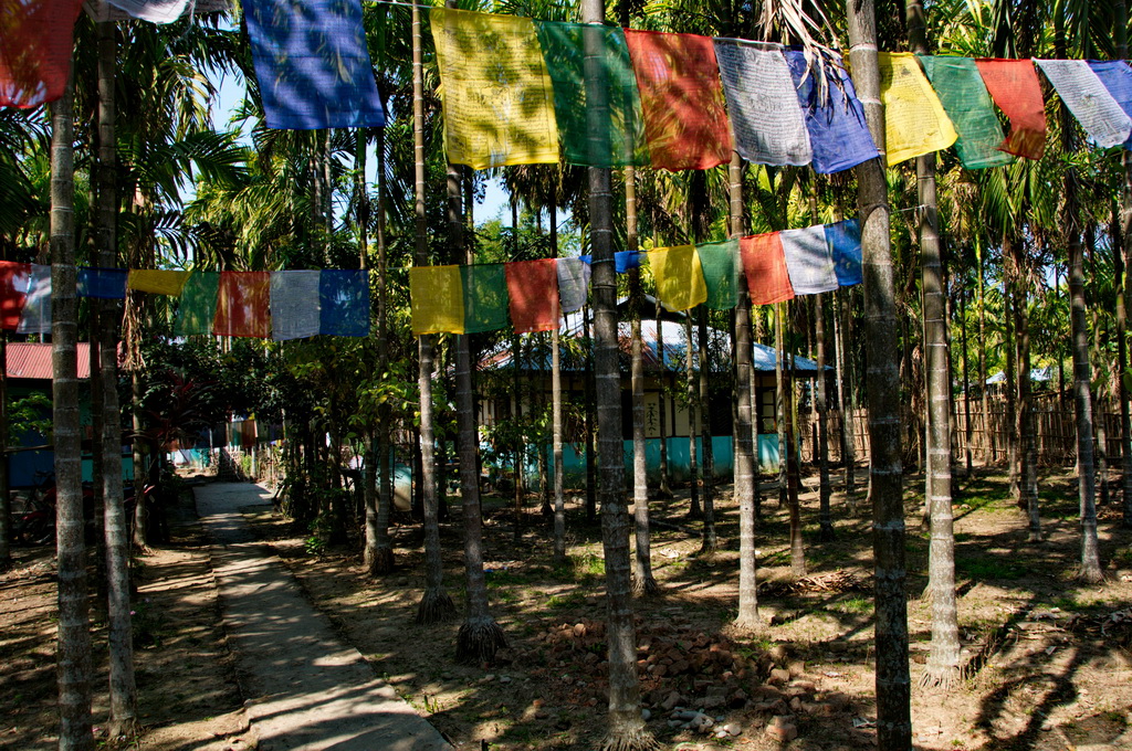 Tibetan Refugee Settlement (Miao)
