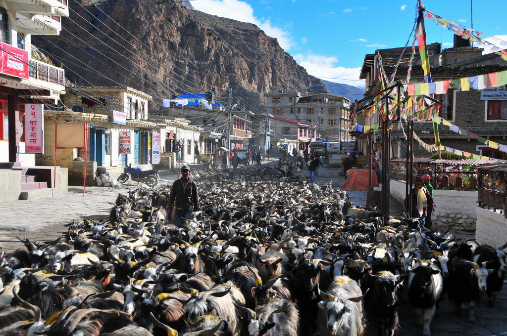 Jomsom