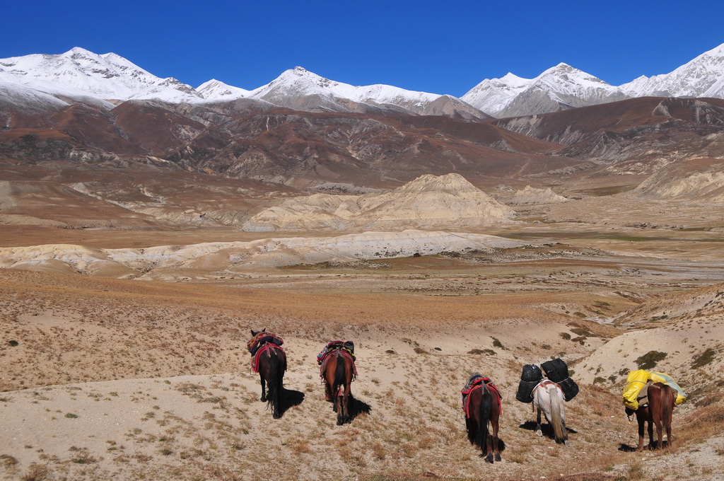 Lo-Manthang-Ghami