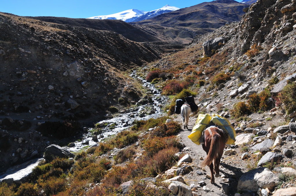 Lo-Manthang-Ghami