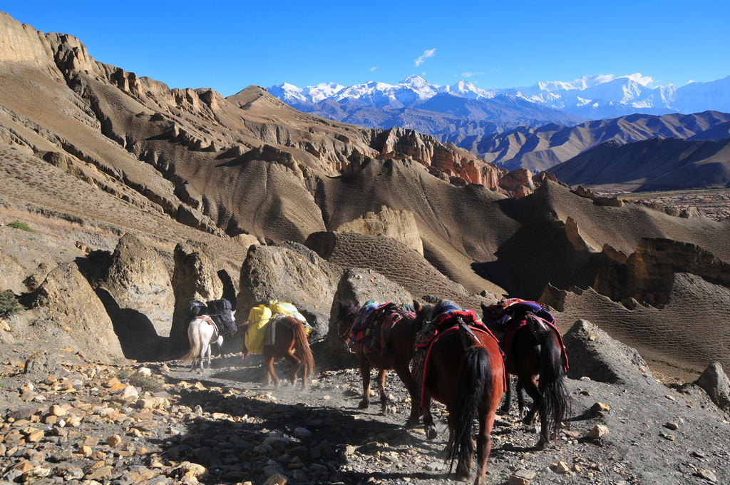 Lo-Manthang-Ghami