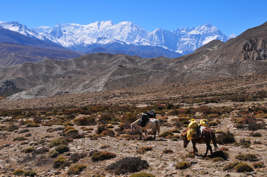 Annapurna Range