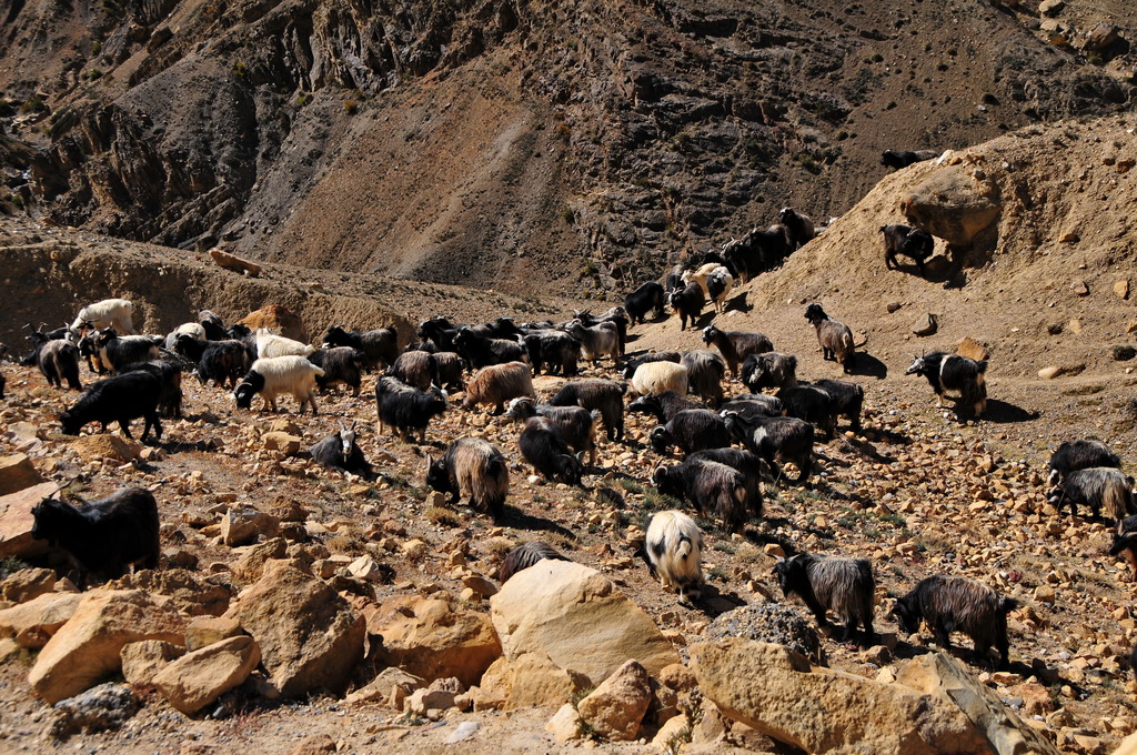 Chhusang-Muktinath