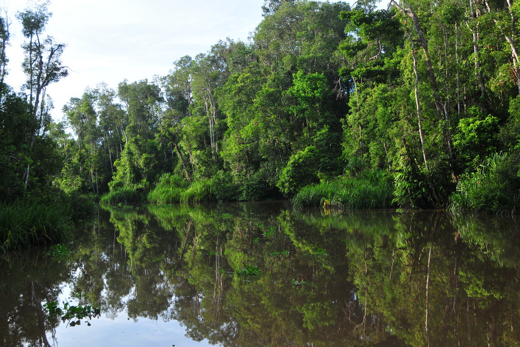 Tanjung Puting NP