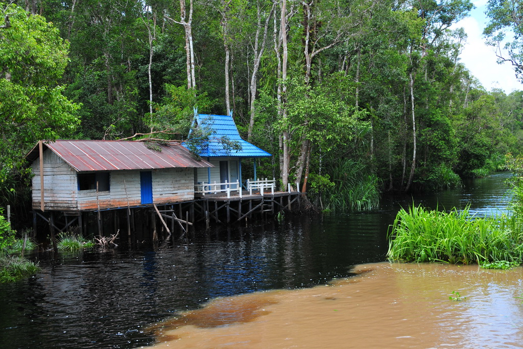 Tanjung Puting NP