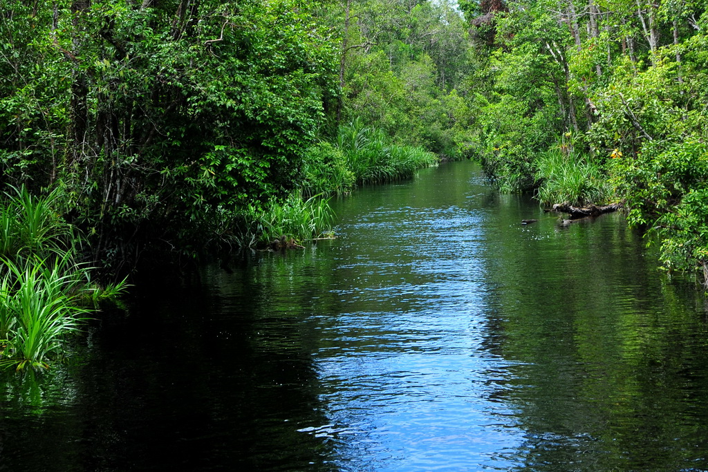 Tanjung Puting NP