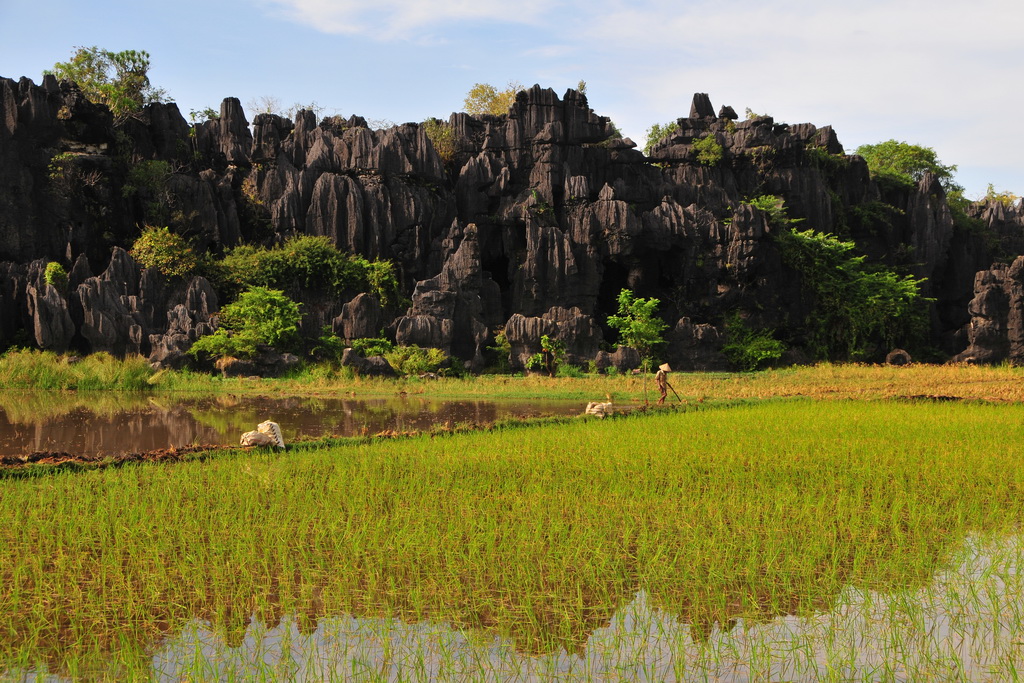 Karst Landscape (Bantimurung)