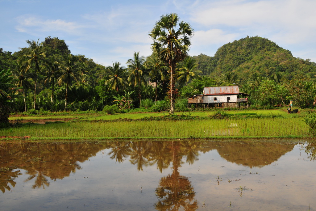 Bantimurung (Maros)