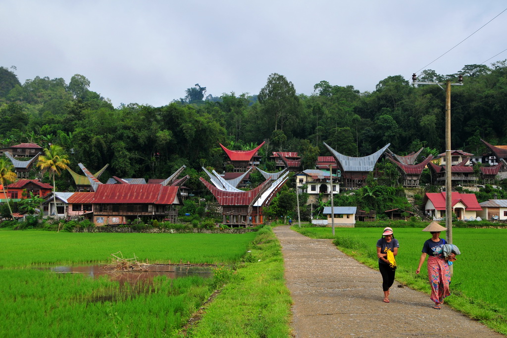 Tana Toraja