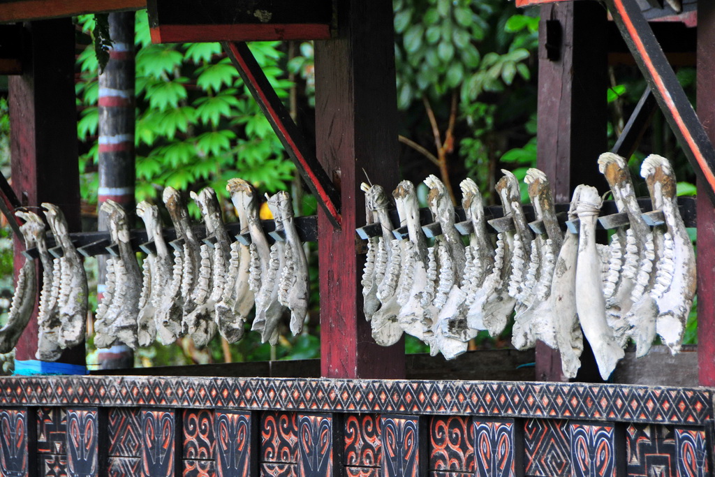 Tana Toraja