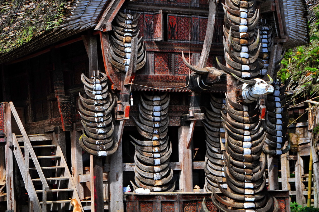Palawa, Traditional Houses