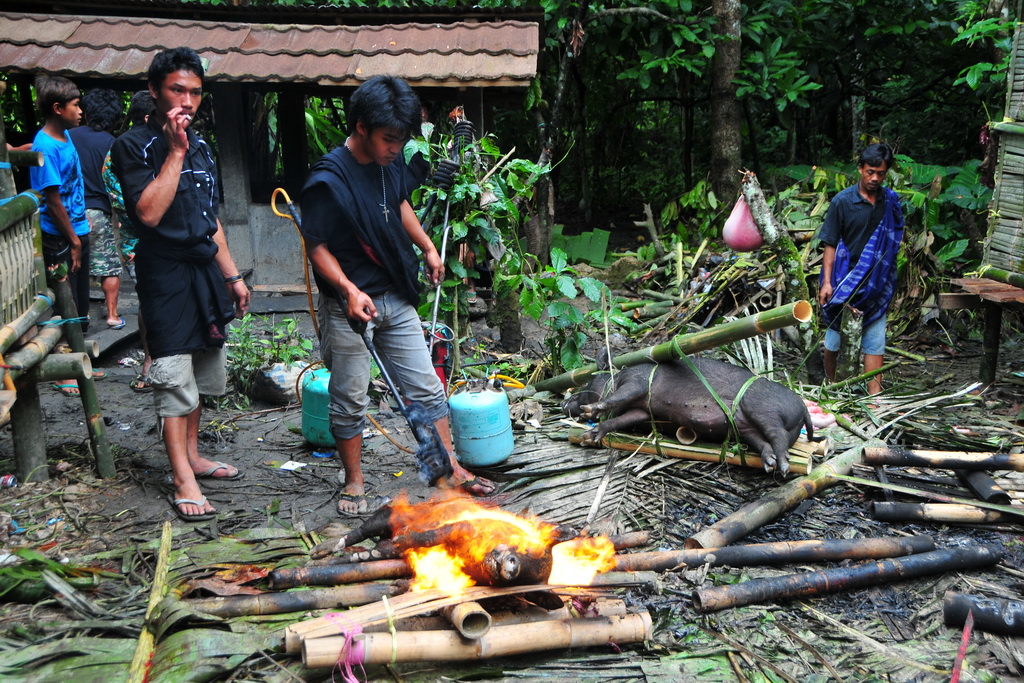 Funeral Ceremony, Toraja