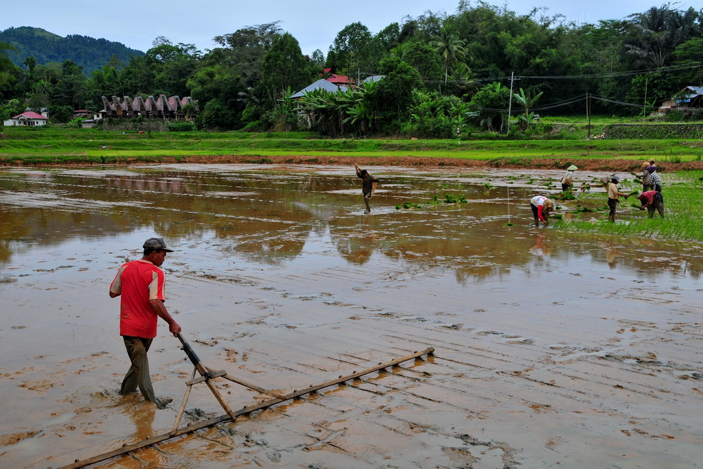 Tana Toraja