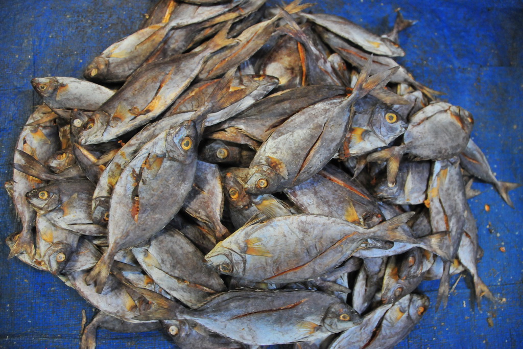 Ruteng