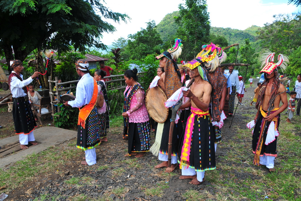 Tado Community, Pussu