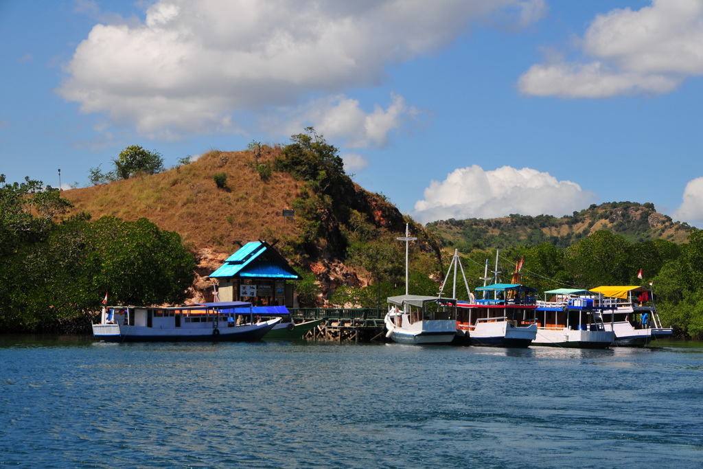 Rinca