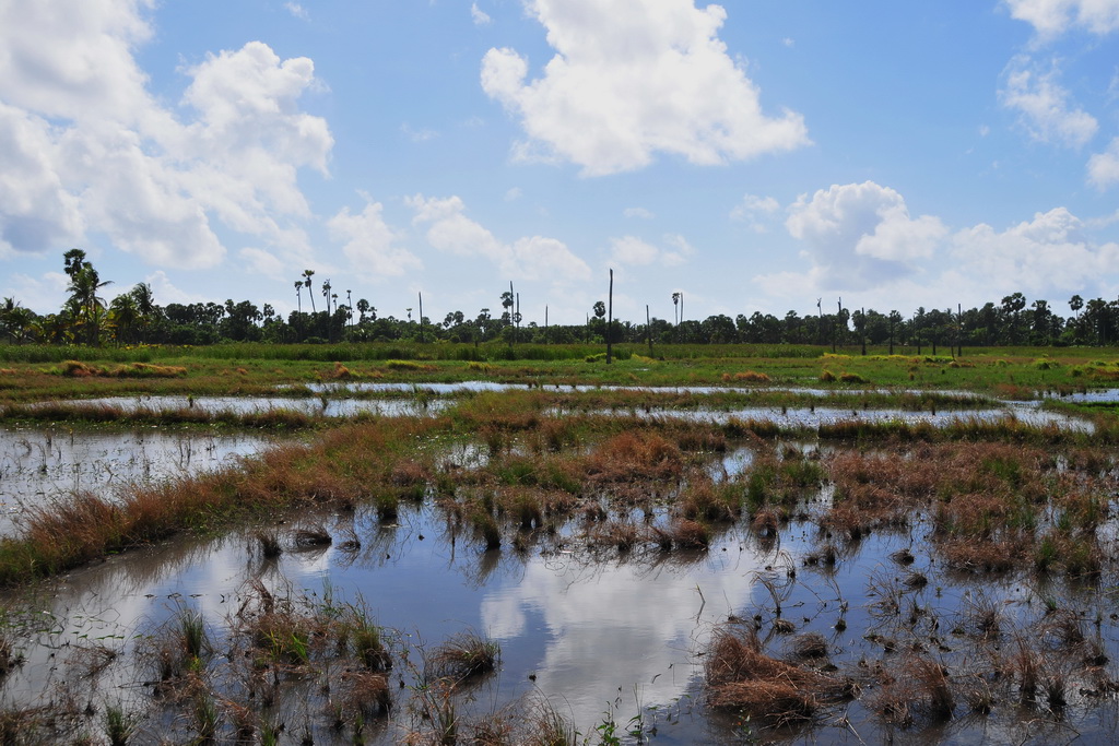 Maujawa-Melolo