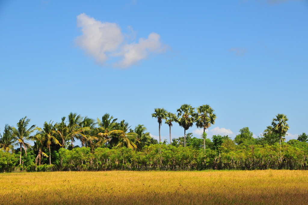 Mangili region